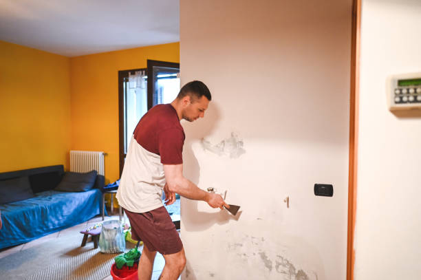Best Home Mold Removal  in Delafield, WI
